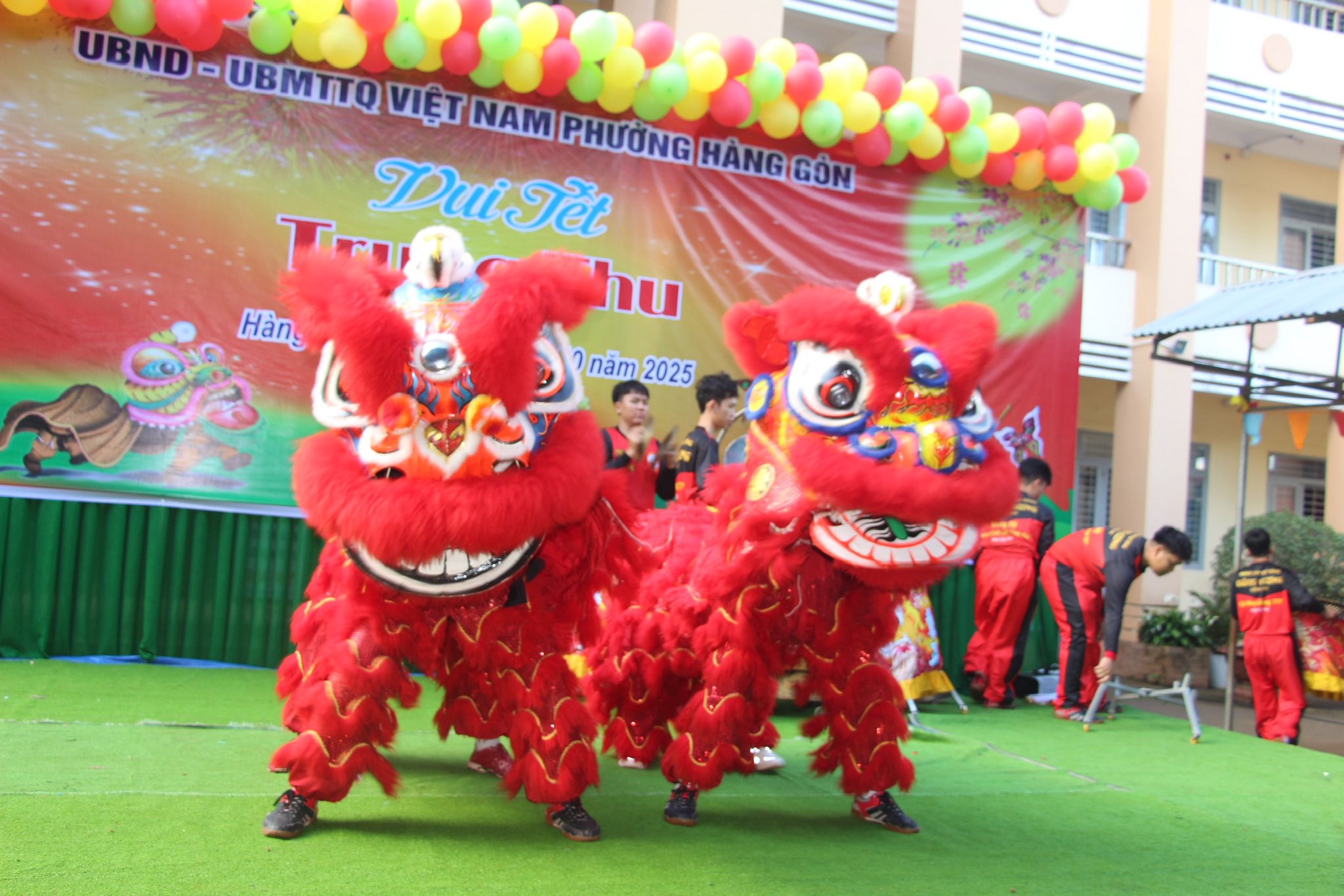 557767982 122133891536930042 7375777205285703545 n