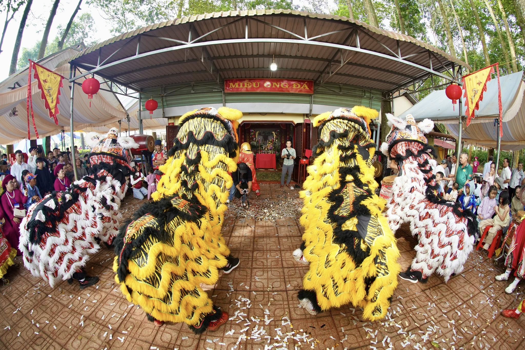 574916885 122139448088930042 8815157579656205260 n